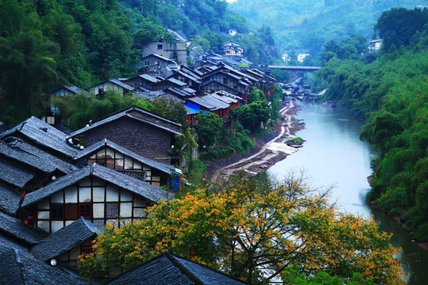 让更多“阳光雨露”滋养“枝繁叶茂”